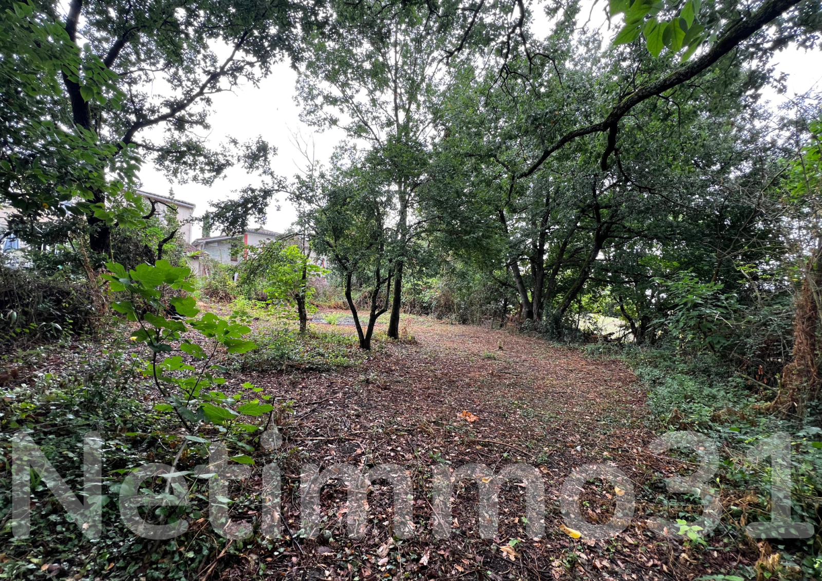 Image_9, Maison, Puylaurens, ref :3658 MG