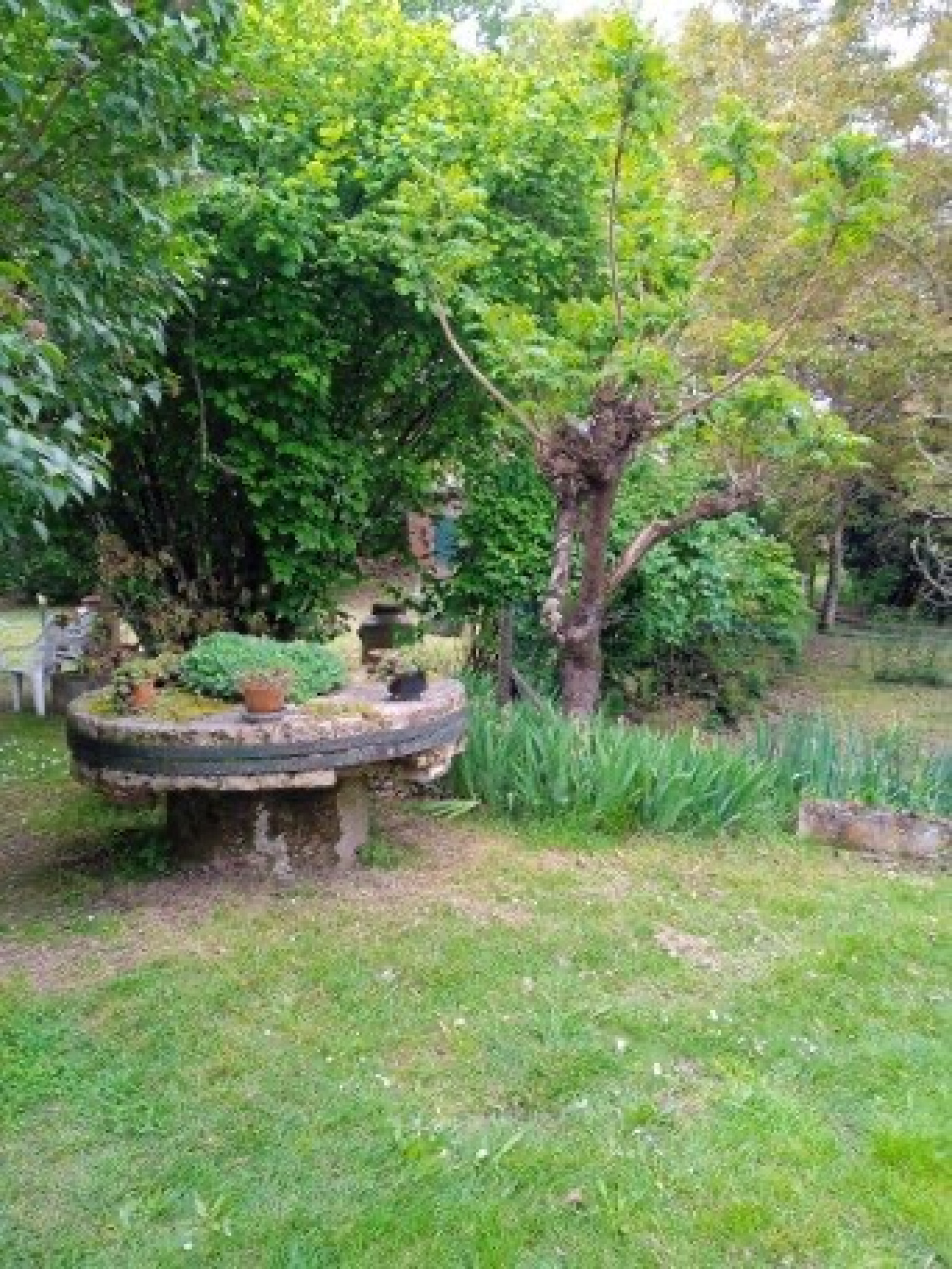 Image_6, Maison, Soual, ref :3340 AL