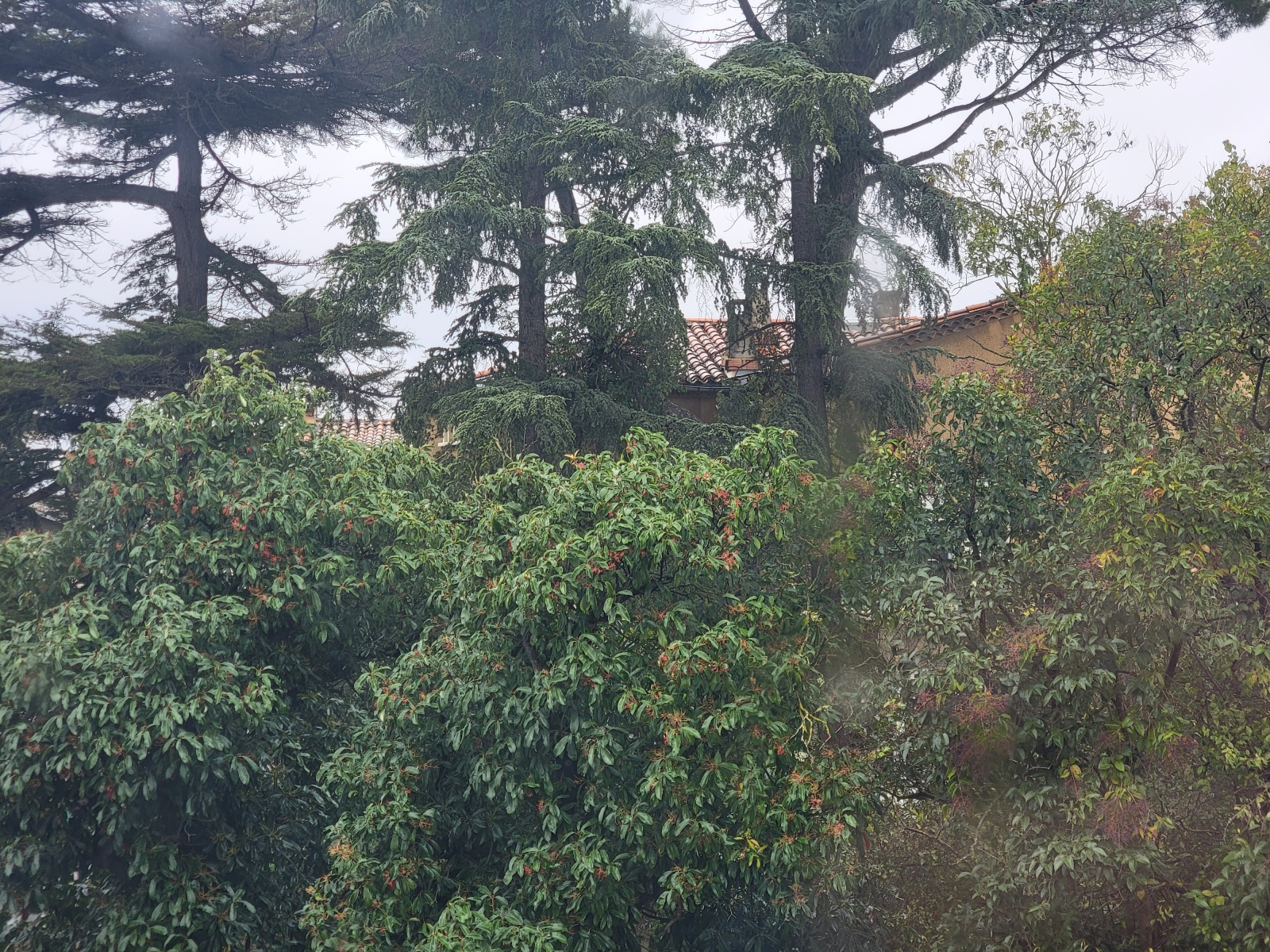 Image_4, Maison, Carcassonne, ref :3517 CB