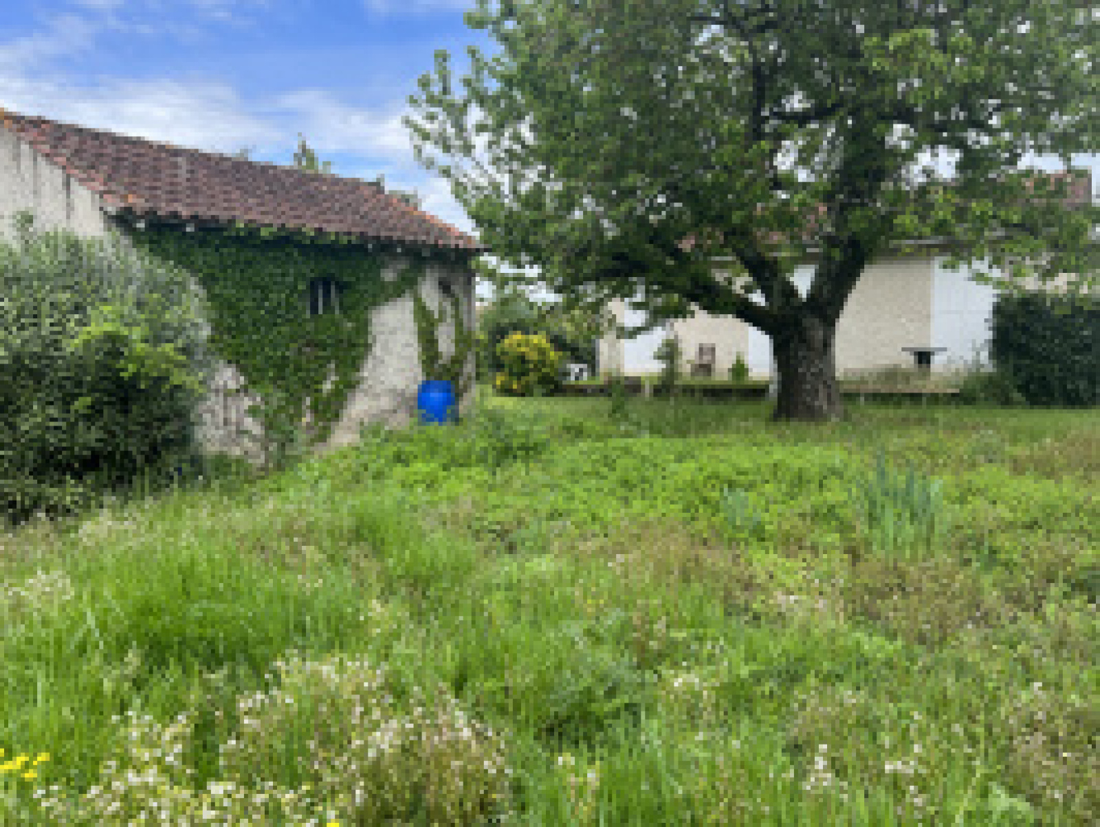 Image_2, Maison, Soual, ref :3299 