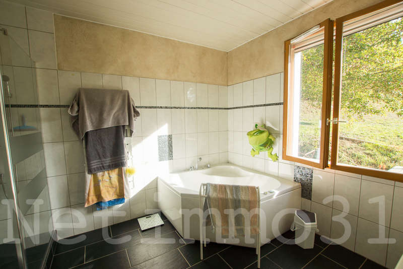 Image_5, Maison, Auriac-sur-Vendinelle, ref :3044