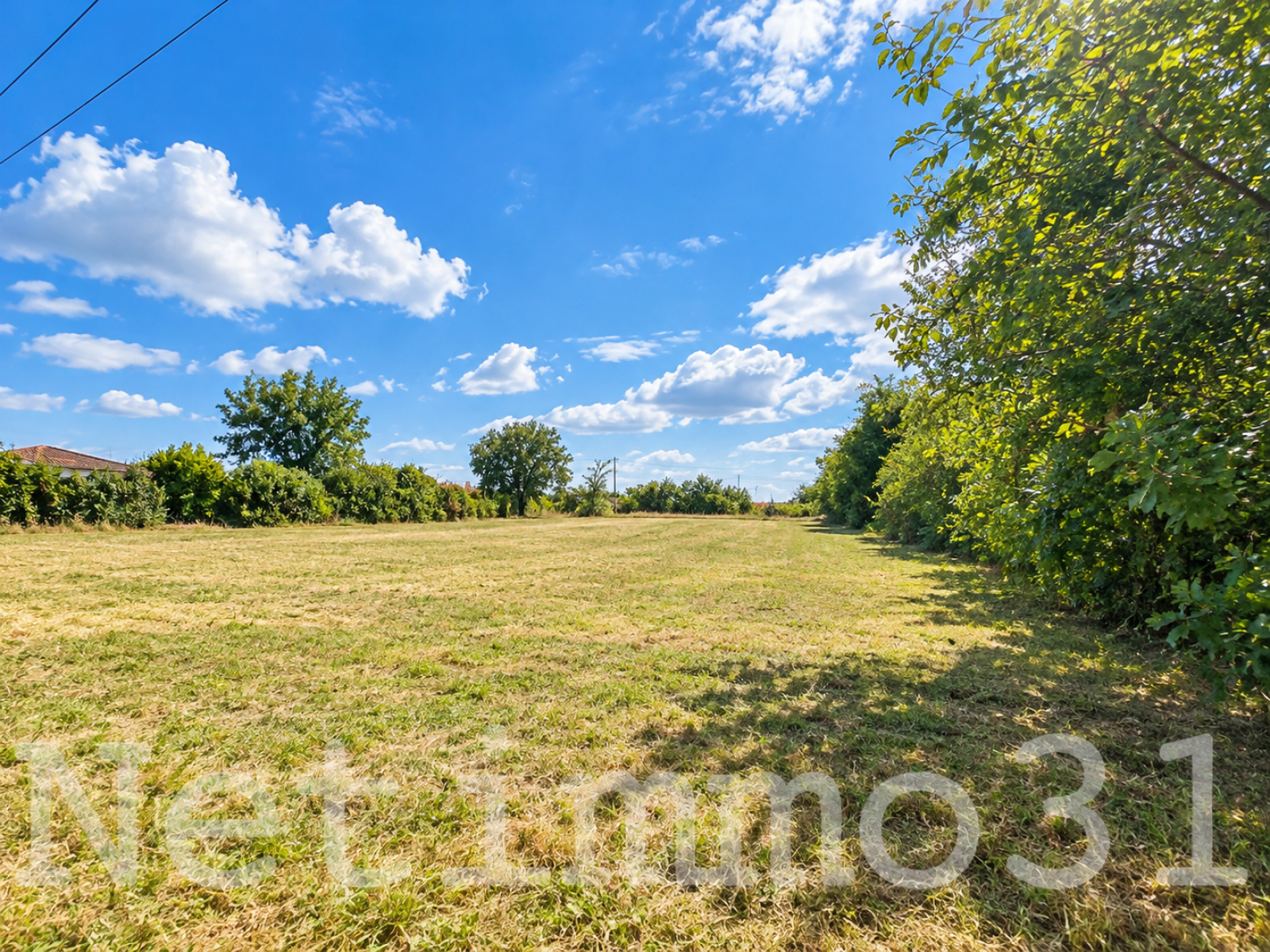 Image_1, Terrain, Puylaurens, ref :3784 AL