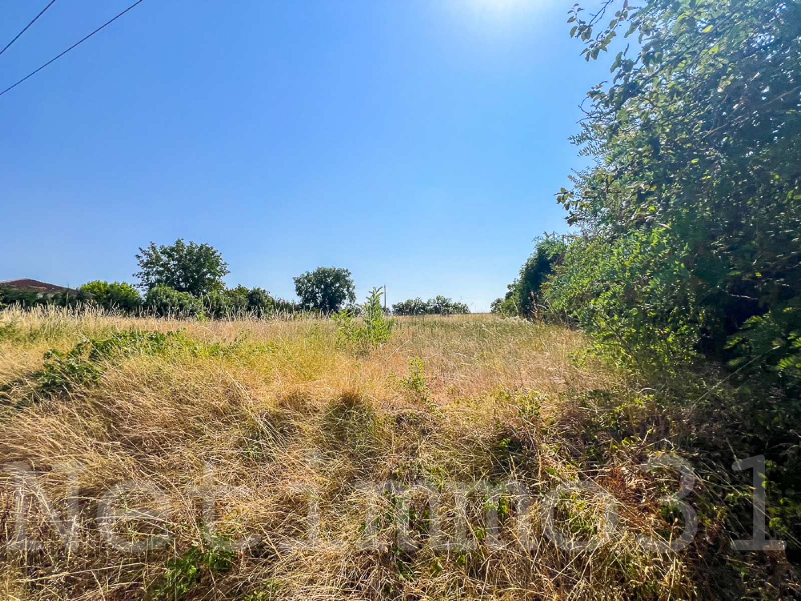 Image_1, Terrain, Puylaurens, ref :3784 AL