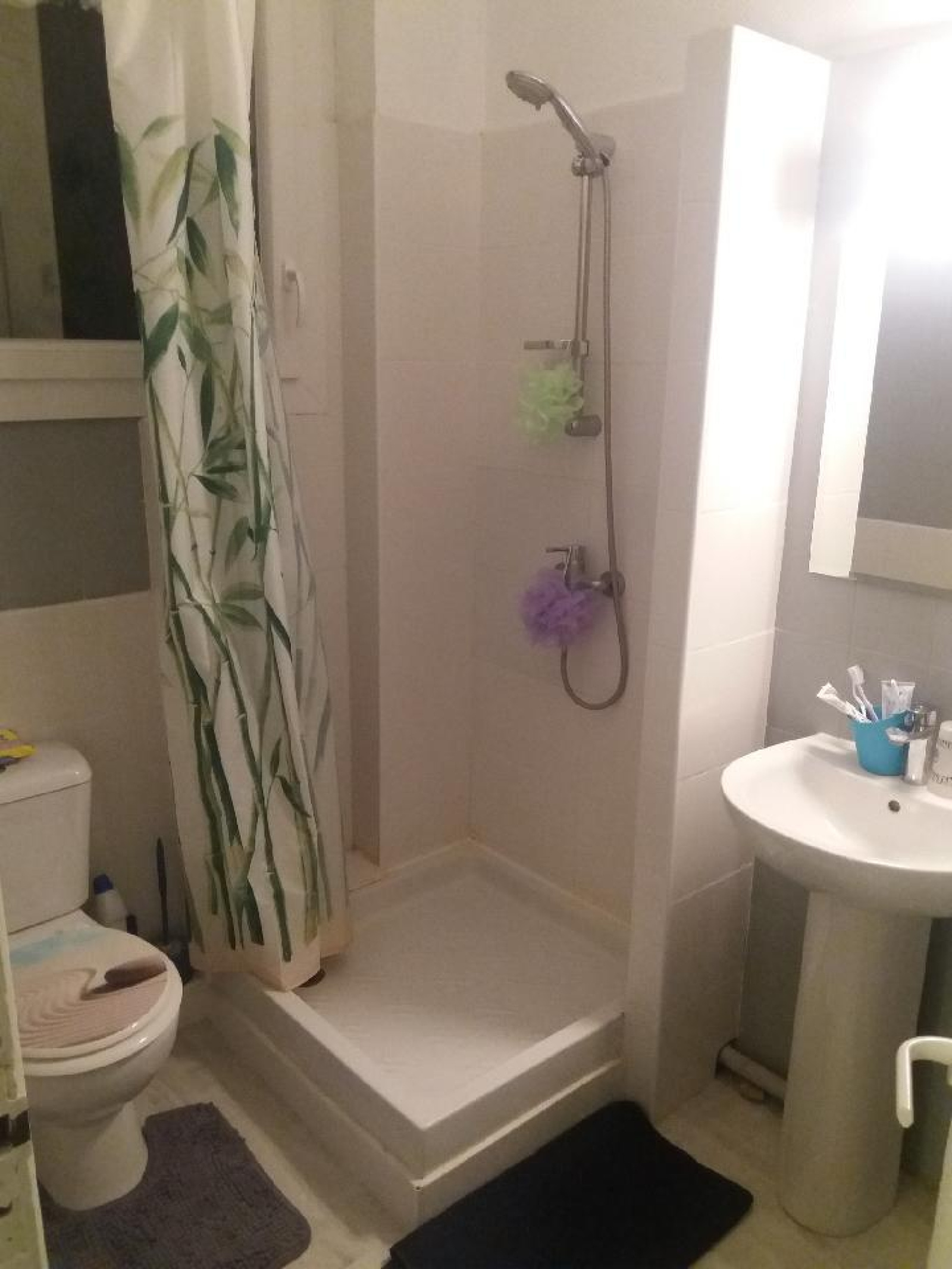Image_4, Appartement, Toulouse, ref :3595 OC
