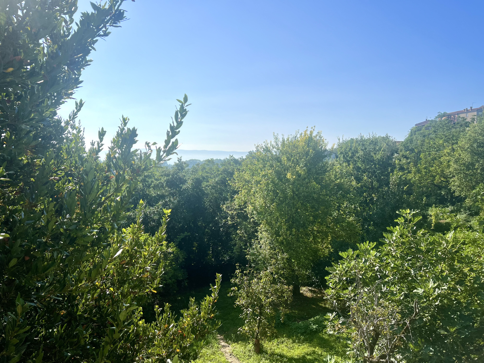 Image_14, Maison, Puylaurens, ref :3500 