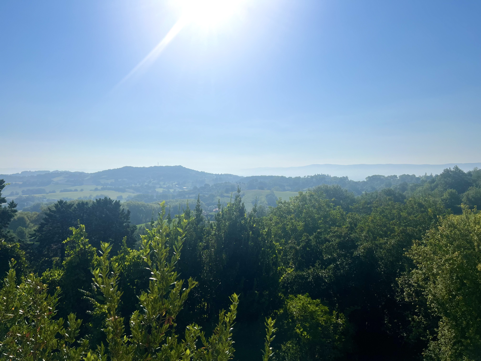 Image_3, Maison, Puylaurens, ref :3500 