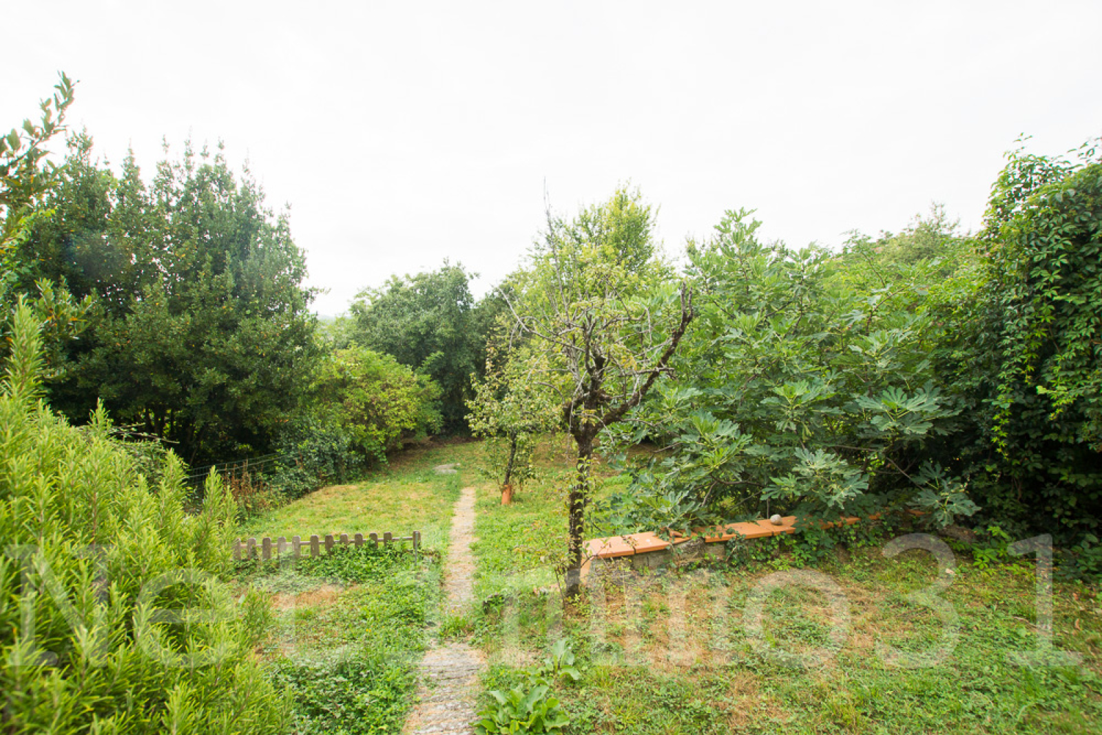 Image_11, Maison, Puylaurens, ref :3500 