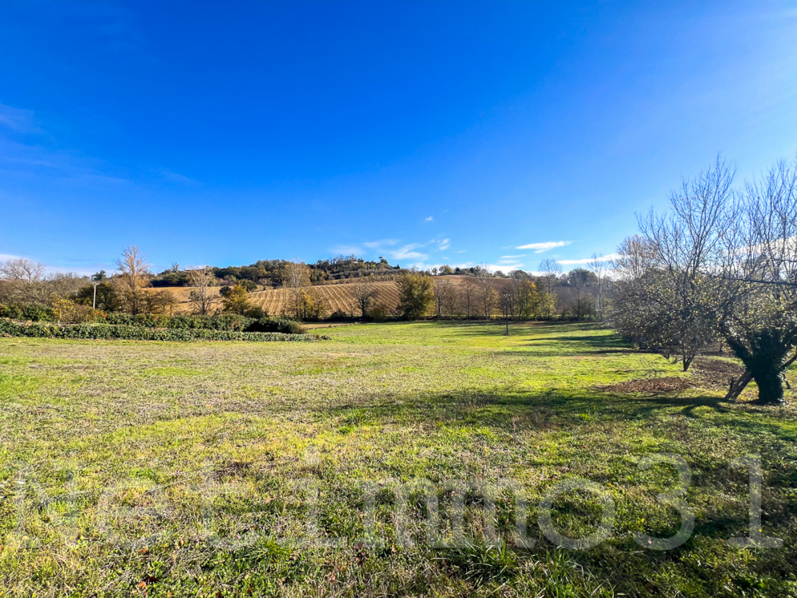 Image_3, Terrain à batir, Puylaurens, ref :3699 AL