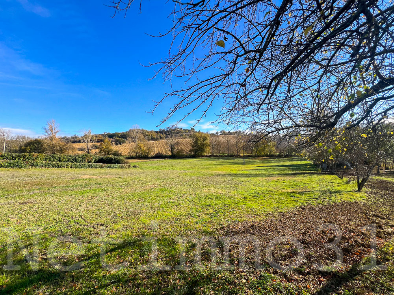 Image_2, Terrain à batir, Puylaurens, ref :3699 AL