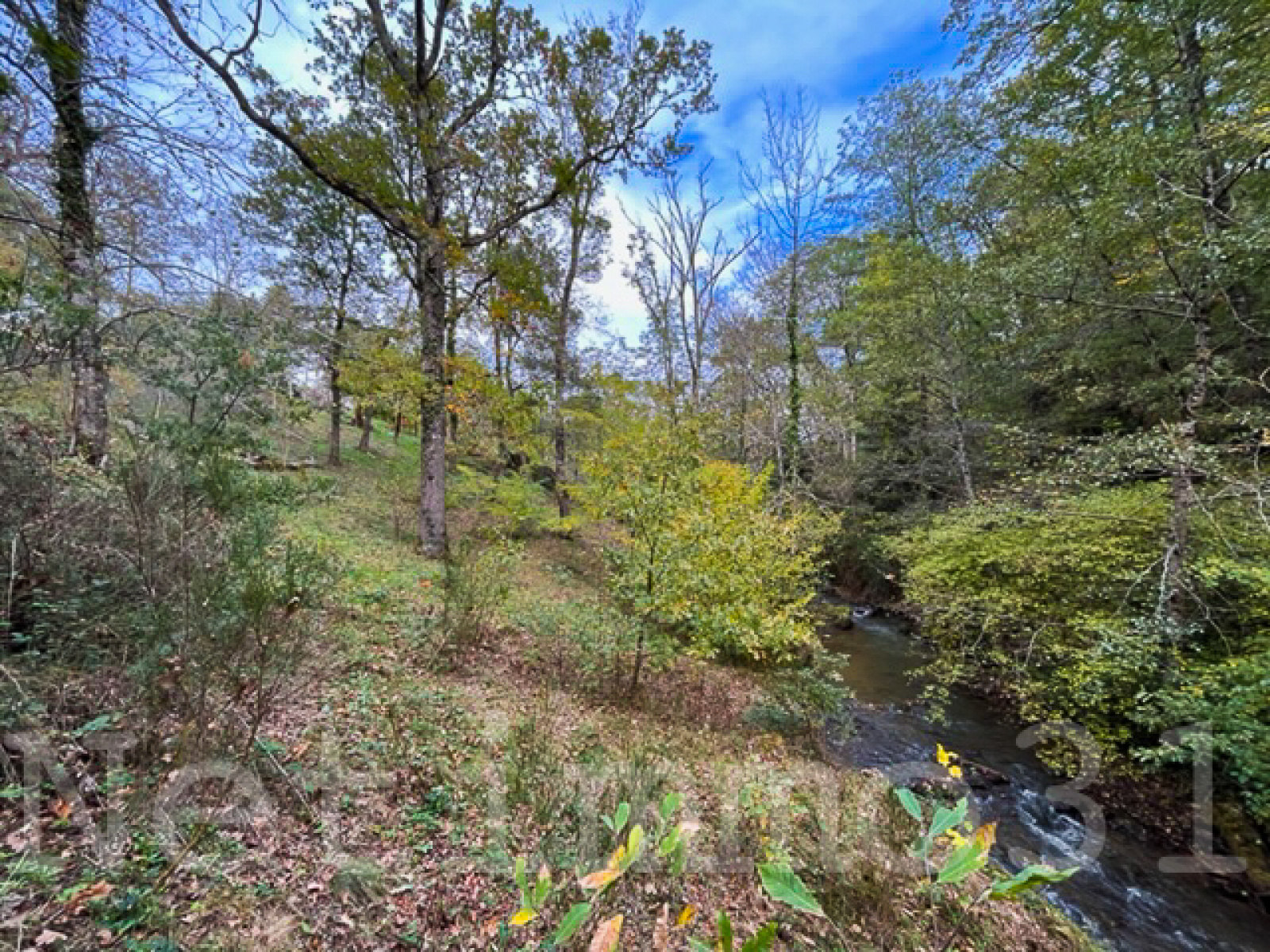 Image_3, Maison, Revel, ref :3367 AL