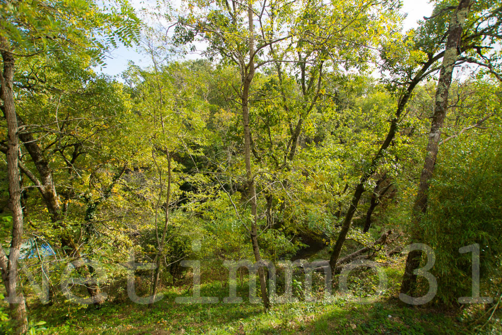 Image_11, Maison, Revel, ref :3367 AL