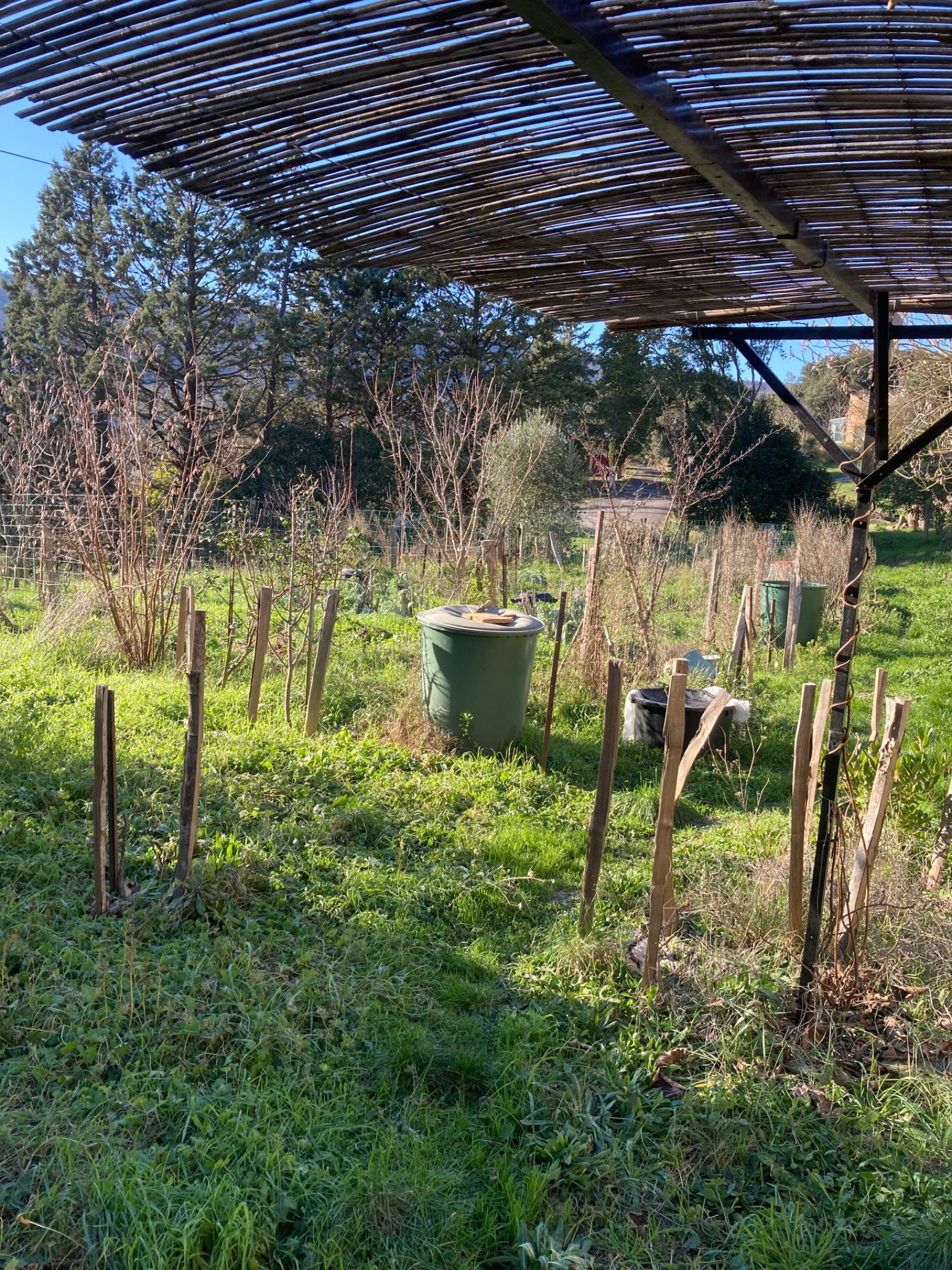 Image_8, Propriete, Lagrasse, ref :3667 CB