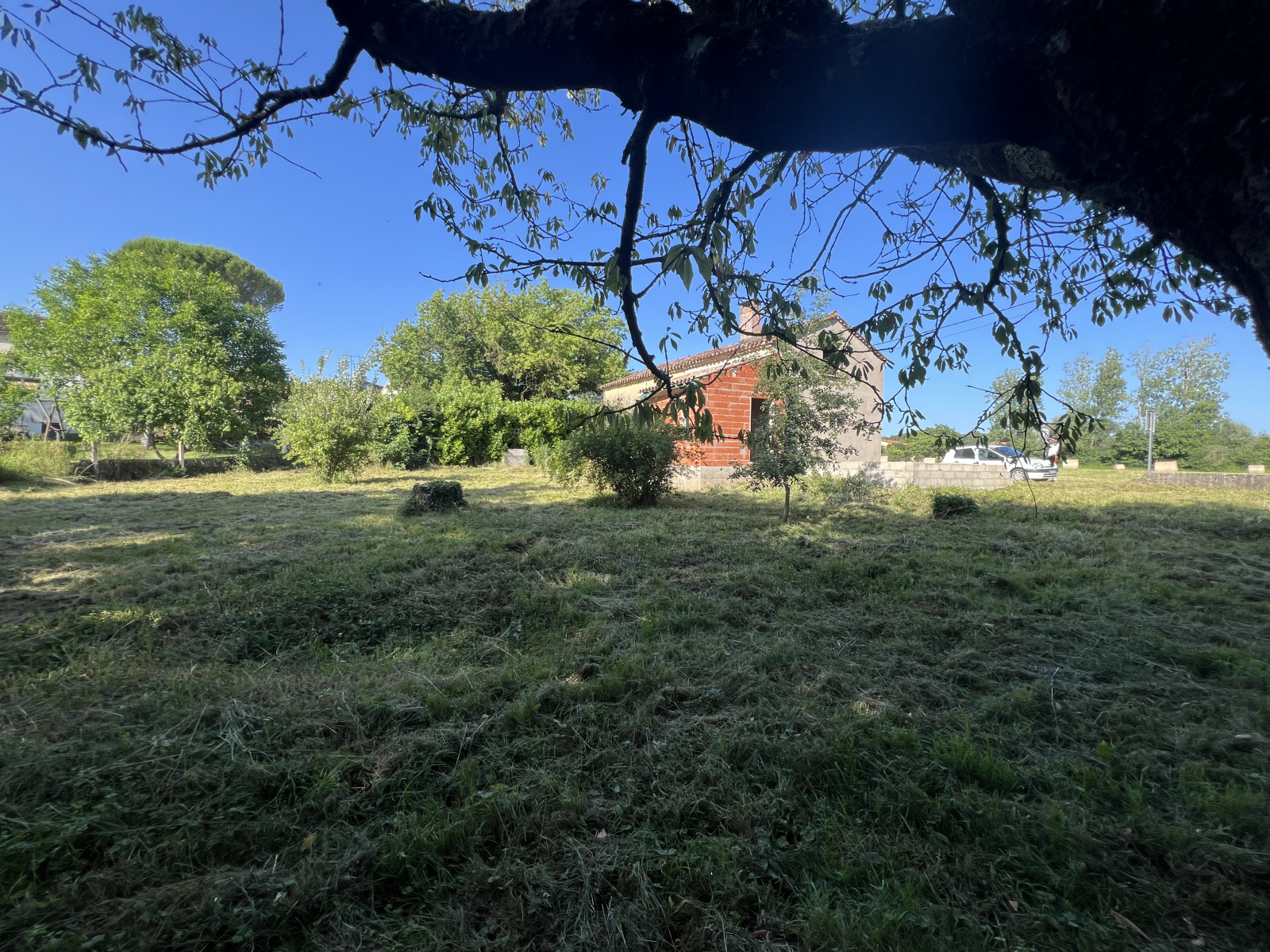 Image_6, Maison, Cuq-Toulza, ref :3620OC