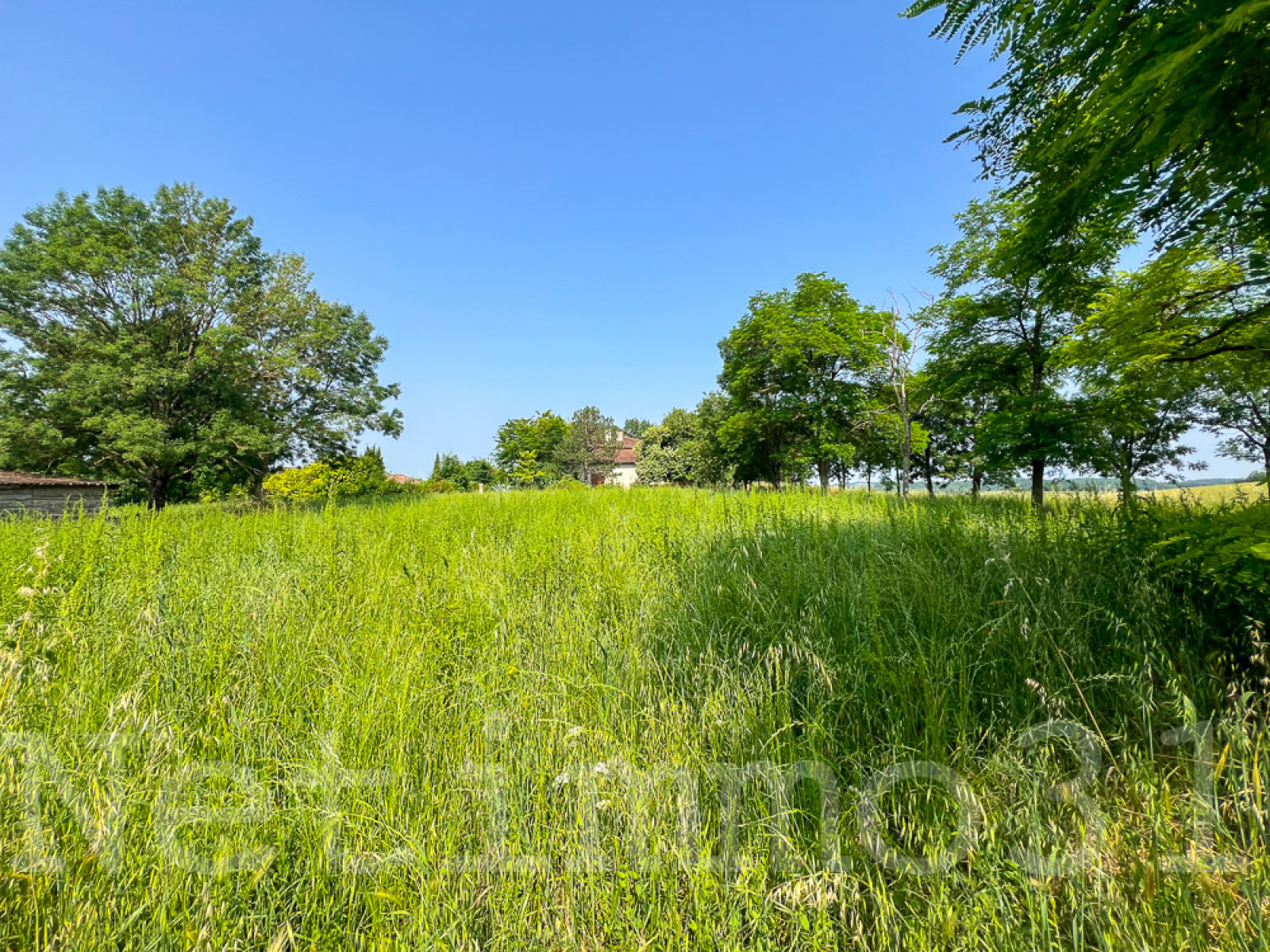 Image_1, Terrain, Cuq-Toulza, ref :3622 AL