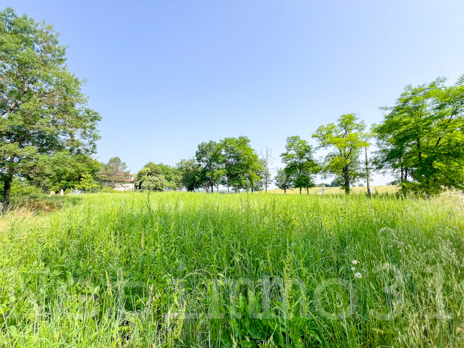 Image_2, Terrain, Cuq-Toulza, ref :3622 AL