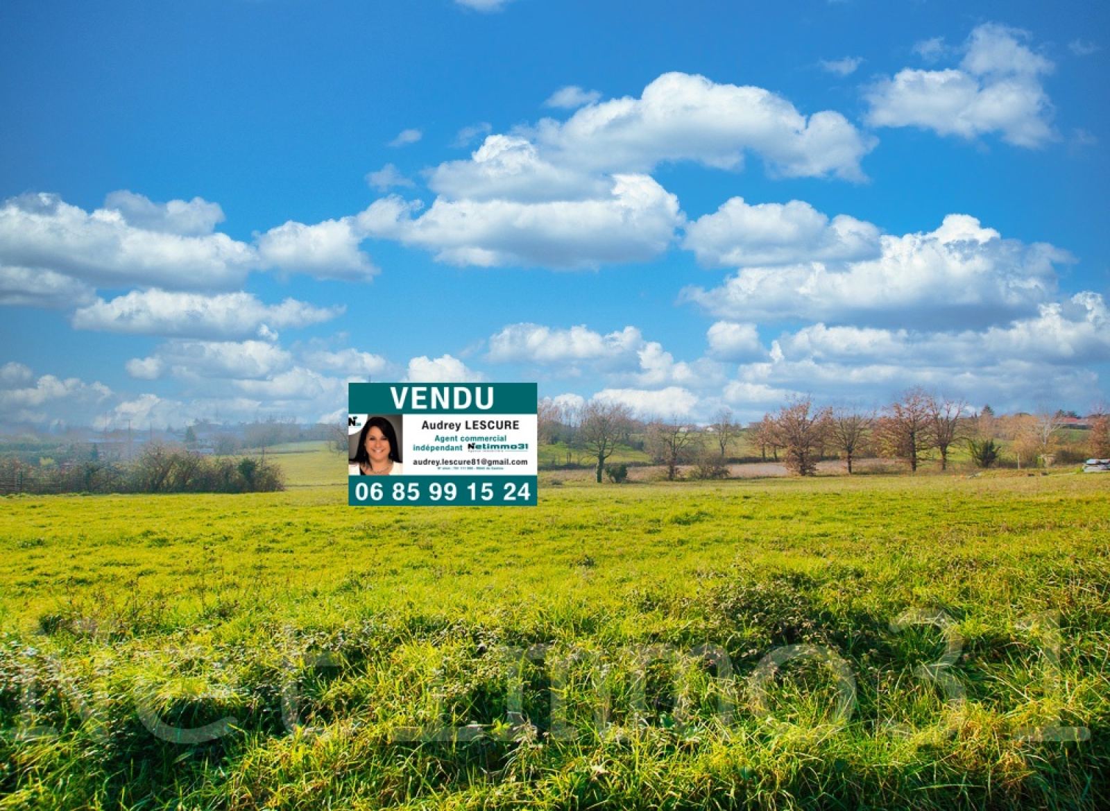 Image_1, Terrain, Revel, ref :2802