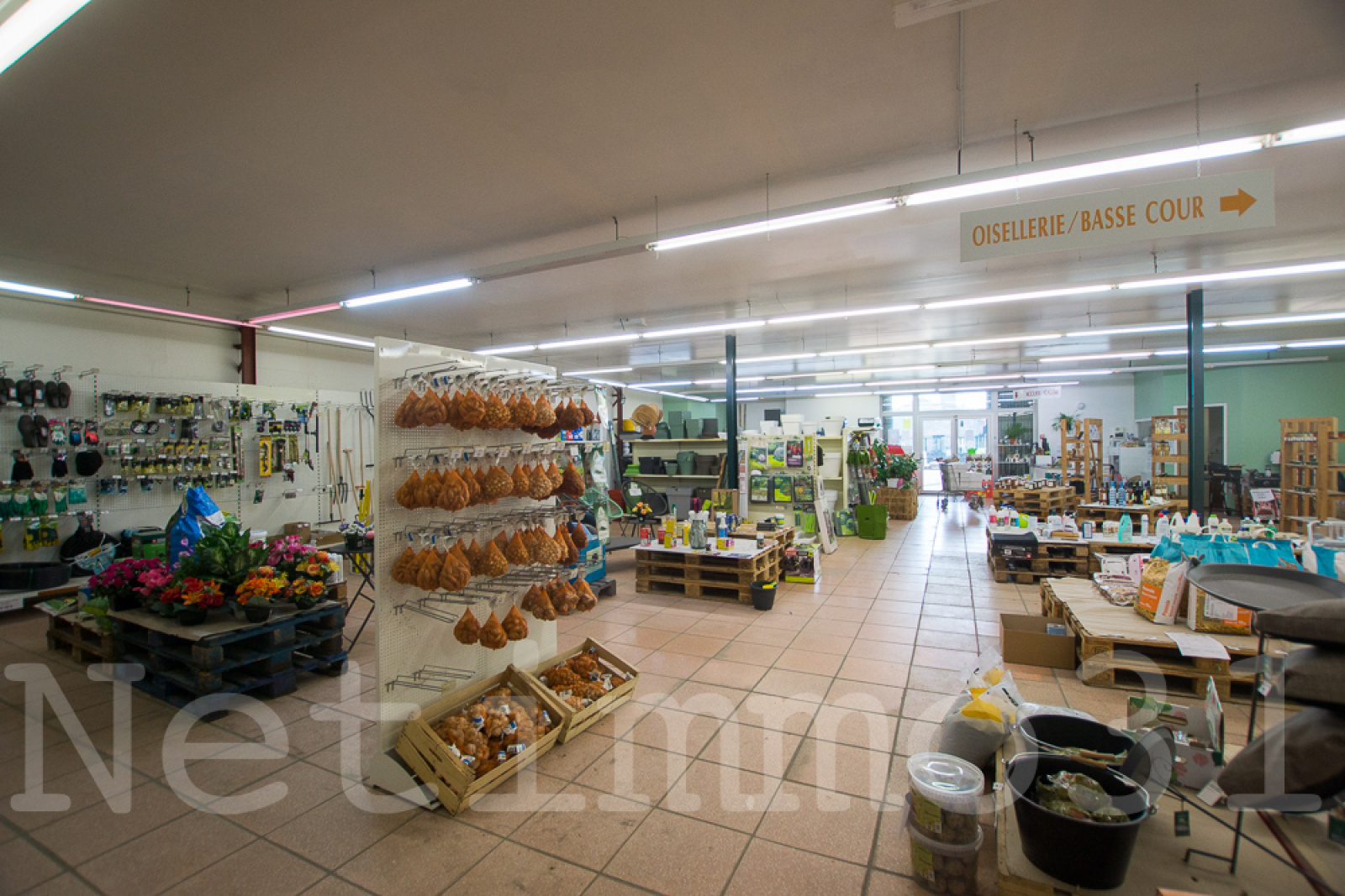 Image_3, Local professionnel, Puylaurens, ref :3529 