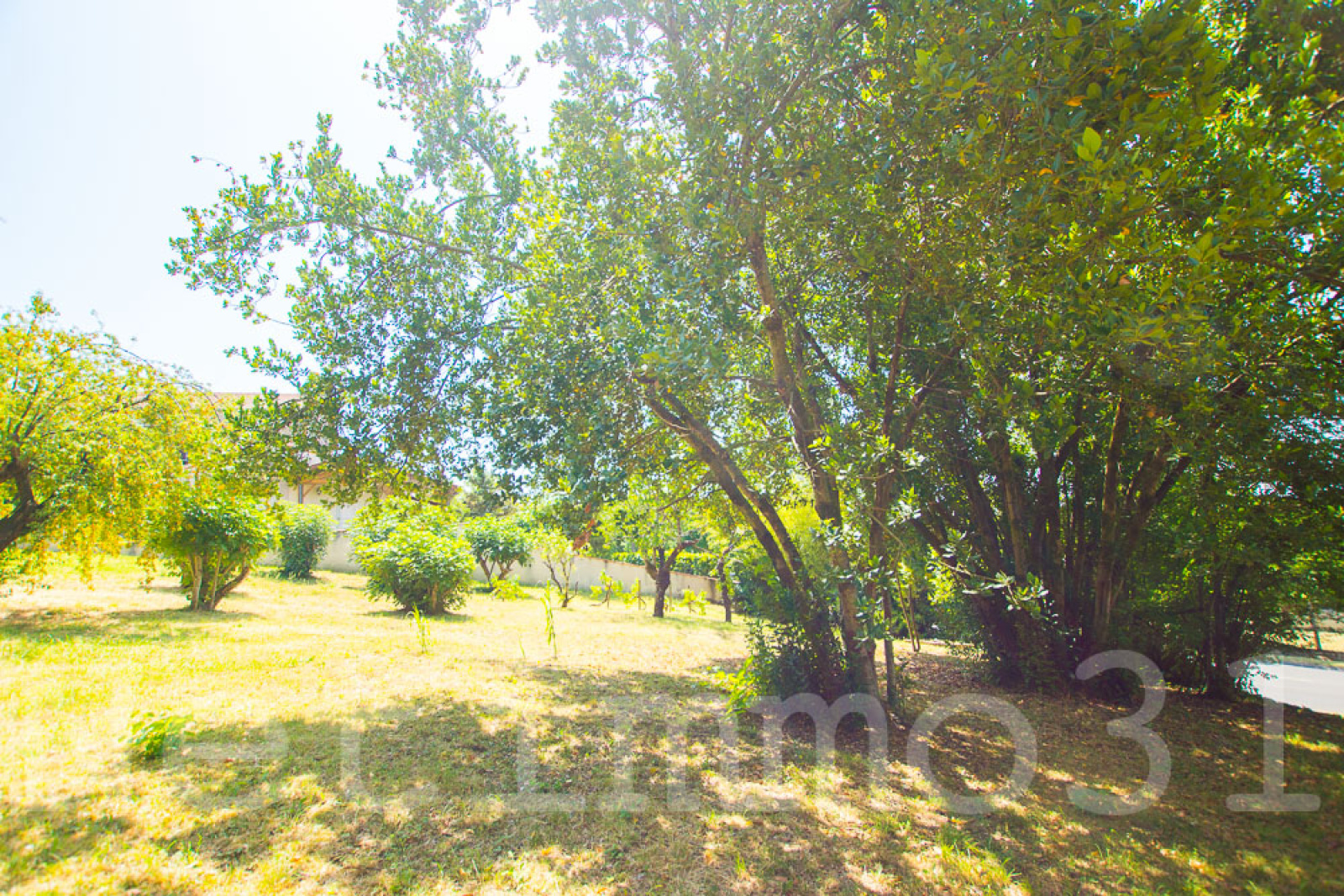 Image_1, Maison, Puylaurens, ref :3778 AL
