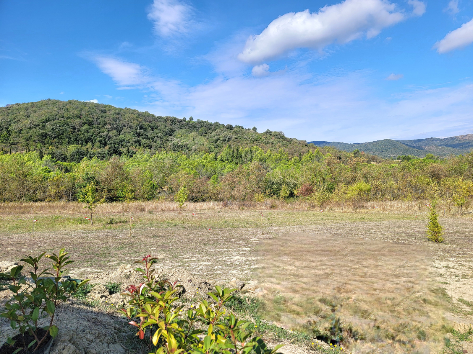 Image_10, Maison, Lagrasse, ref :3581 CB