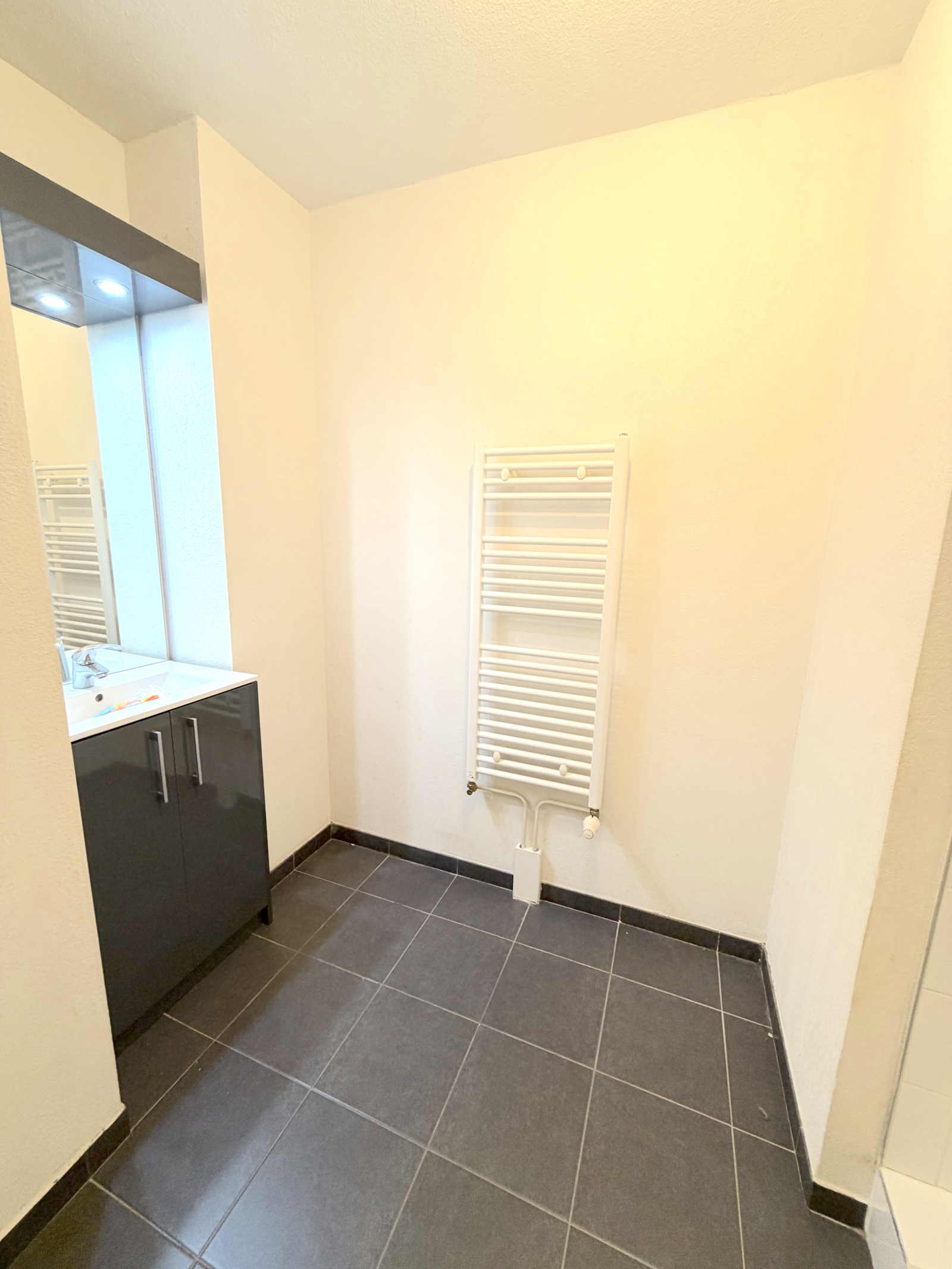 Image_3, Appartement, Toulouse, ref :3811 OC