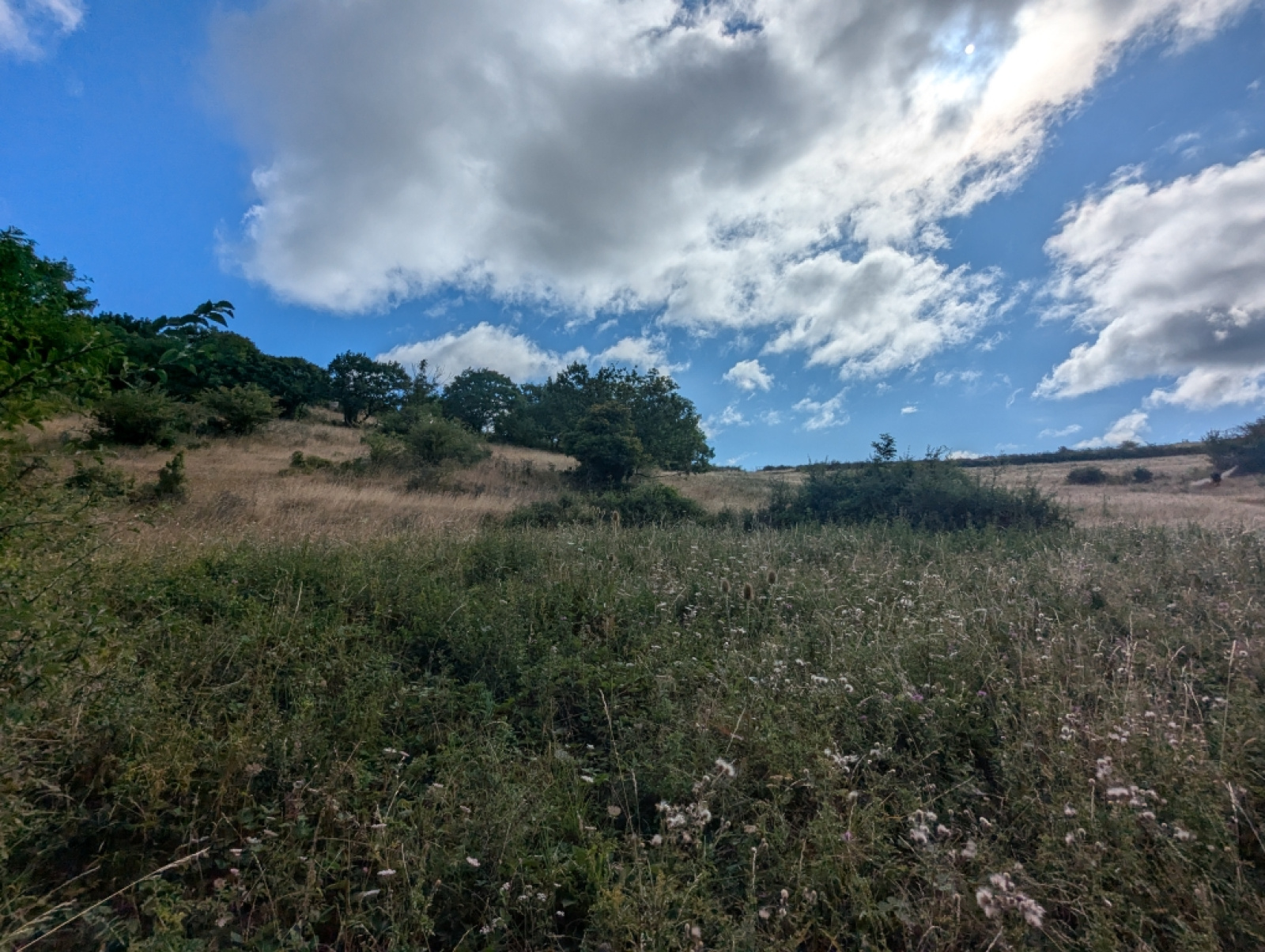 Image_8, Ferme, Lagrasse, ref :3612 CB