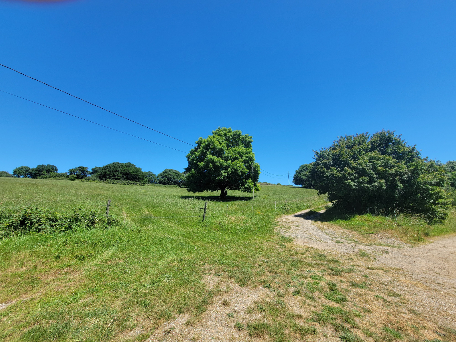 Image_11, Ferme, Lagrasse, ref :3612 CB