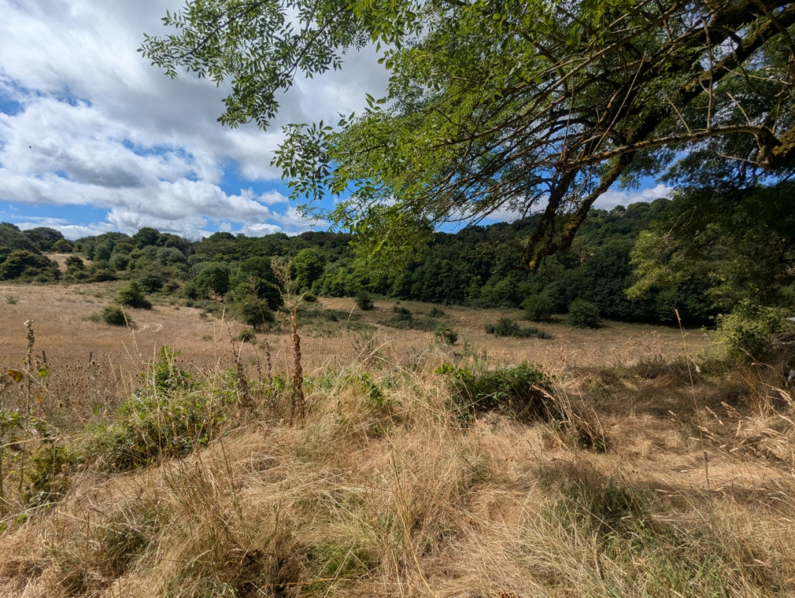 Image_20, Ferme, Lagrasse, ref :3612 CB