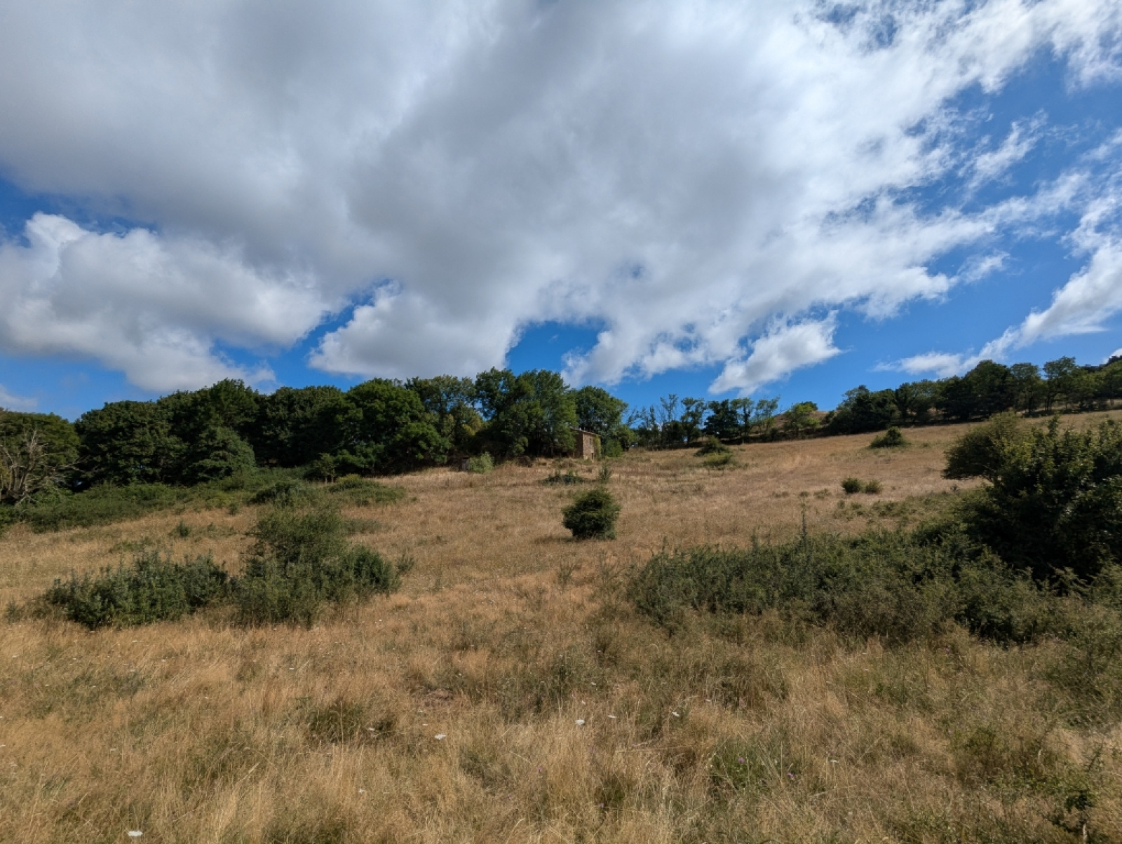 Image_25, Ferme, Lagrasse, ref :3612 CB