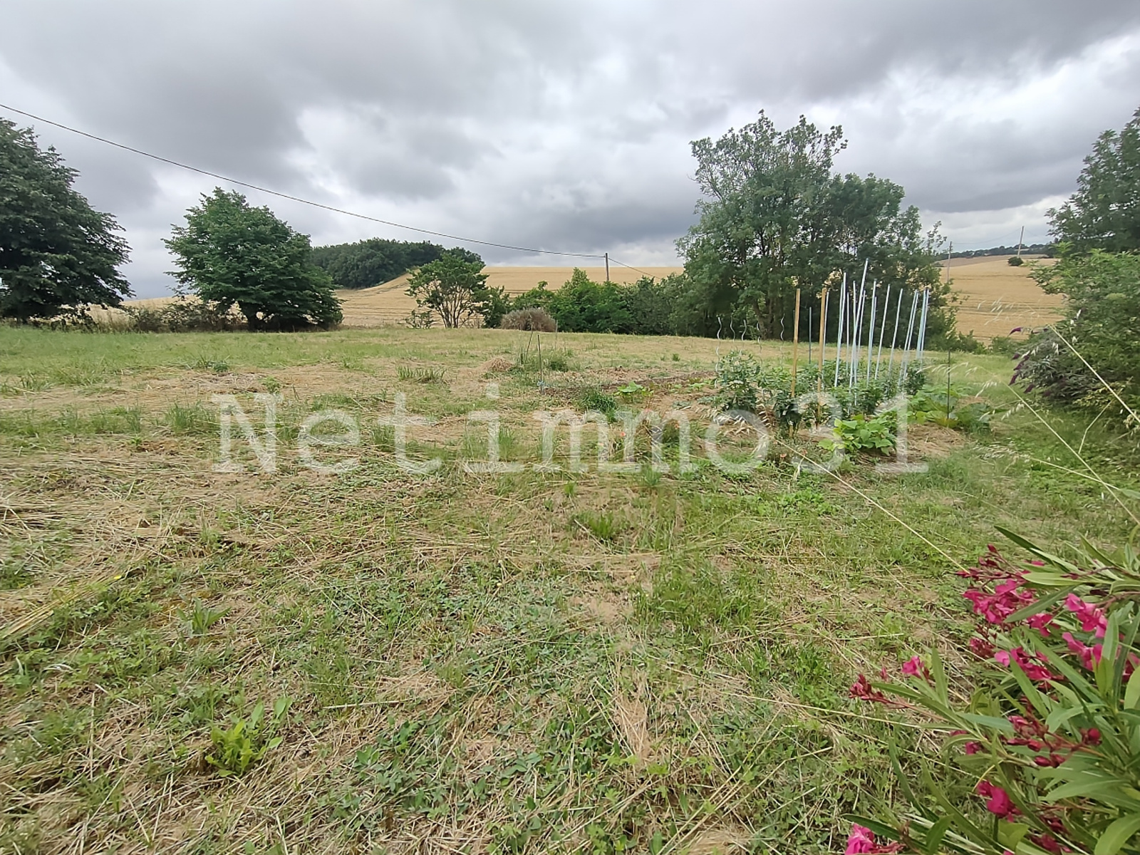 Image_2, Maison, Auriac-sur-Vendinelle, ref :3256 AM