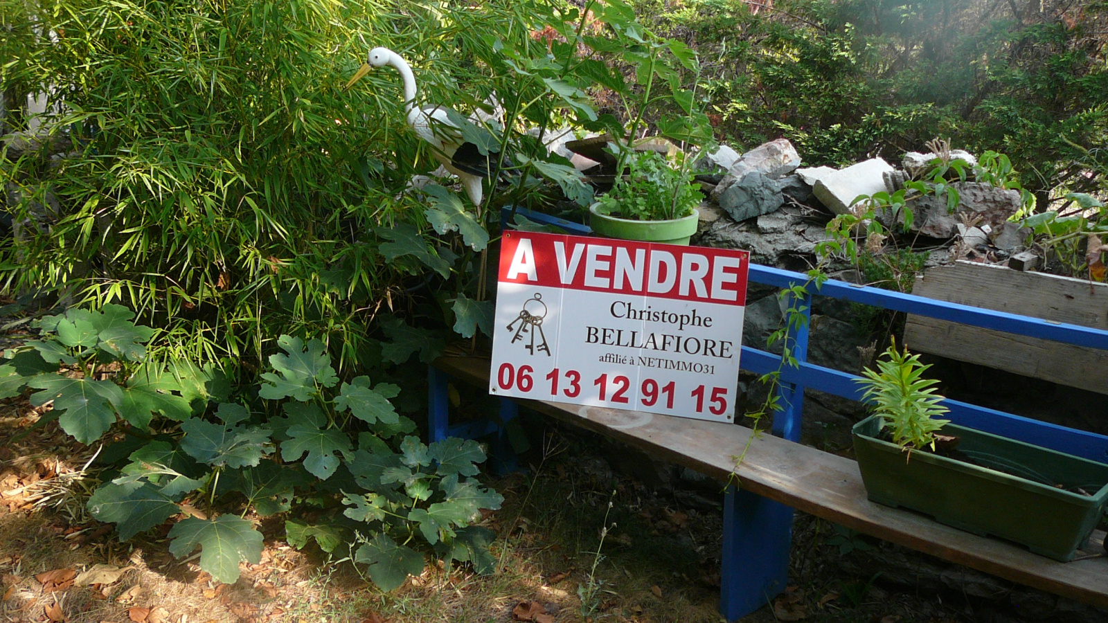 Image_1, Terrain, Taurize, ref :3095 