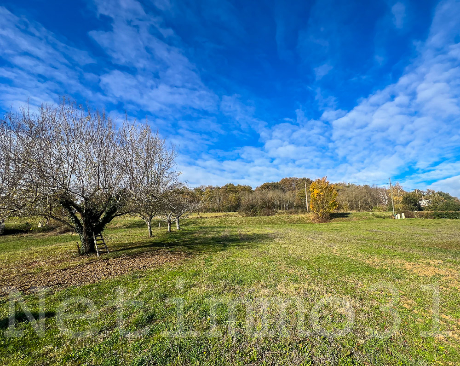Image_1, Terrain à batir, Puylaurens, ref :3764 AL