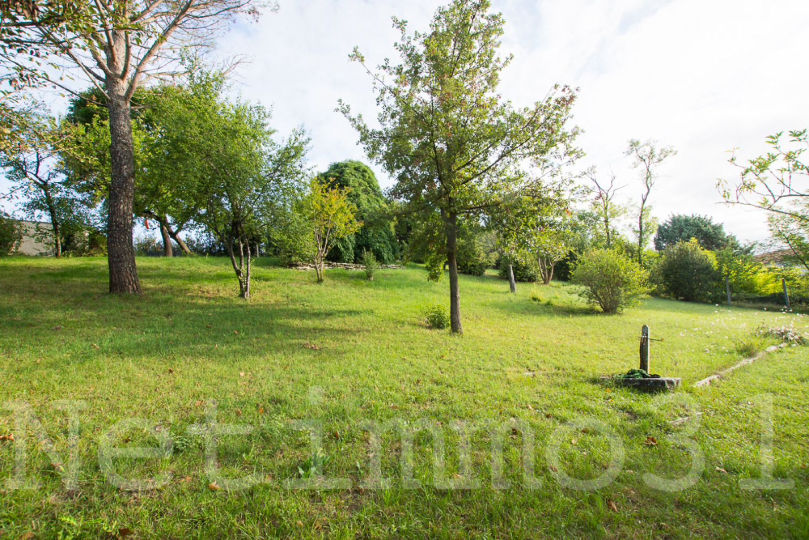 Image_1, Terrain, Puylaurens, ref :3683 MG