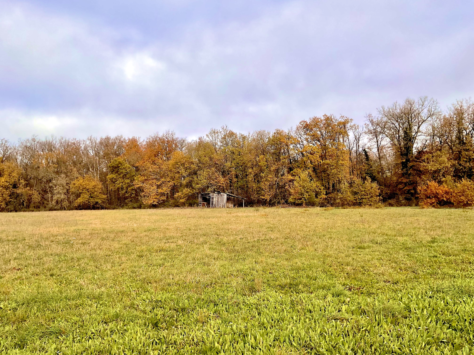 Image_3, Maison, Bérat, ref :3523 