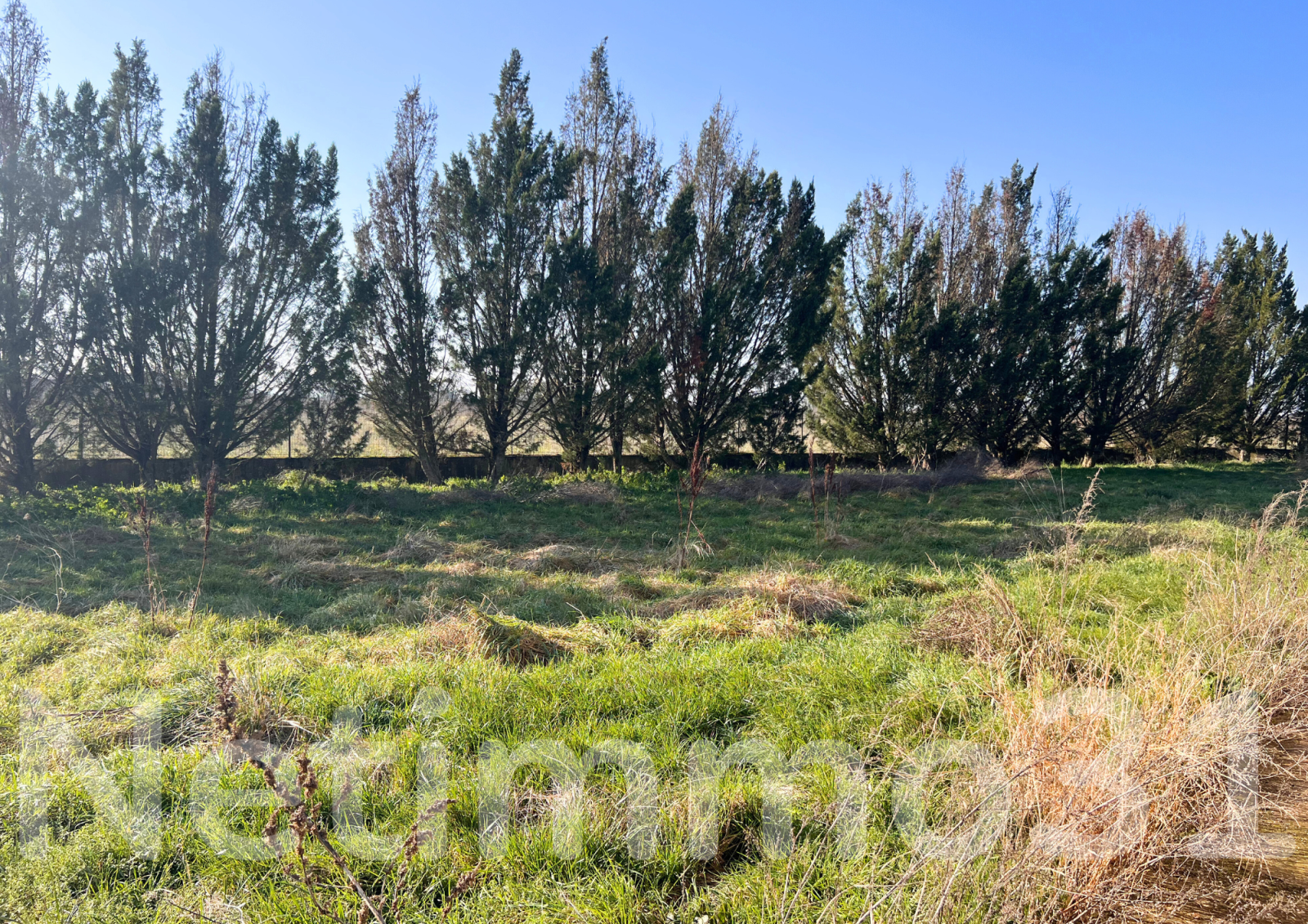 Image_10, Maison, Poulan-Pouzols, ref :3550 