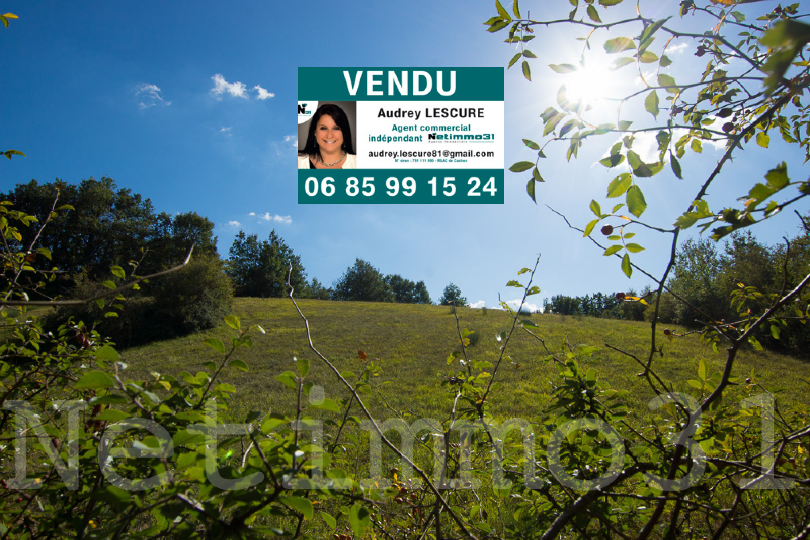 Image_1, Terrain, Guitalens-L'Albarède, ref :2990