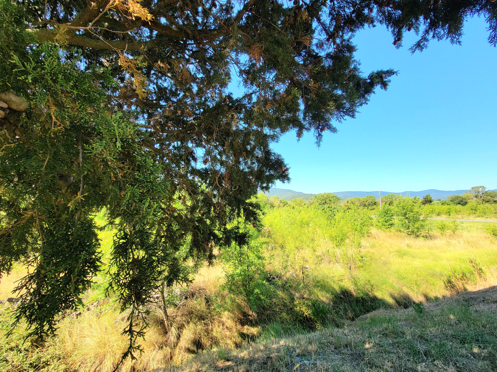 Image_3, Villa, Serviès-en-Val, ref :3462 CB