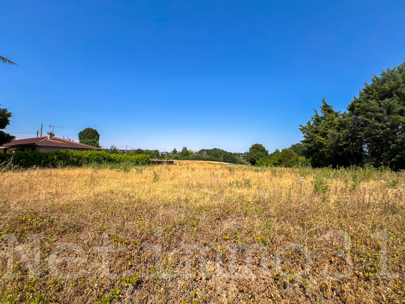 Image_1, Terrain, Puylaurens, ref :3785 AL