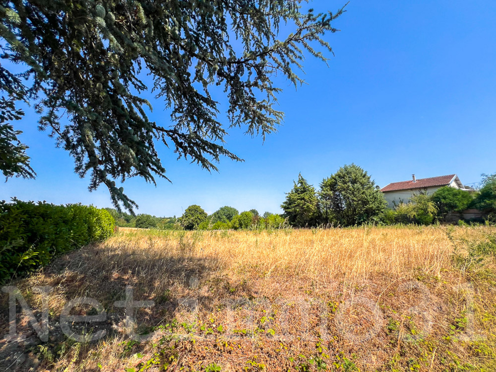 Image_2, Terrain, Puylaurens, ref :3785 AL