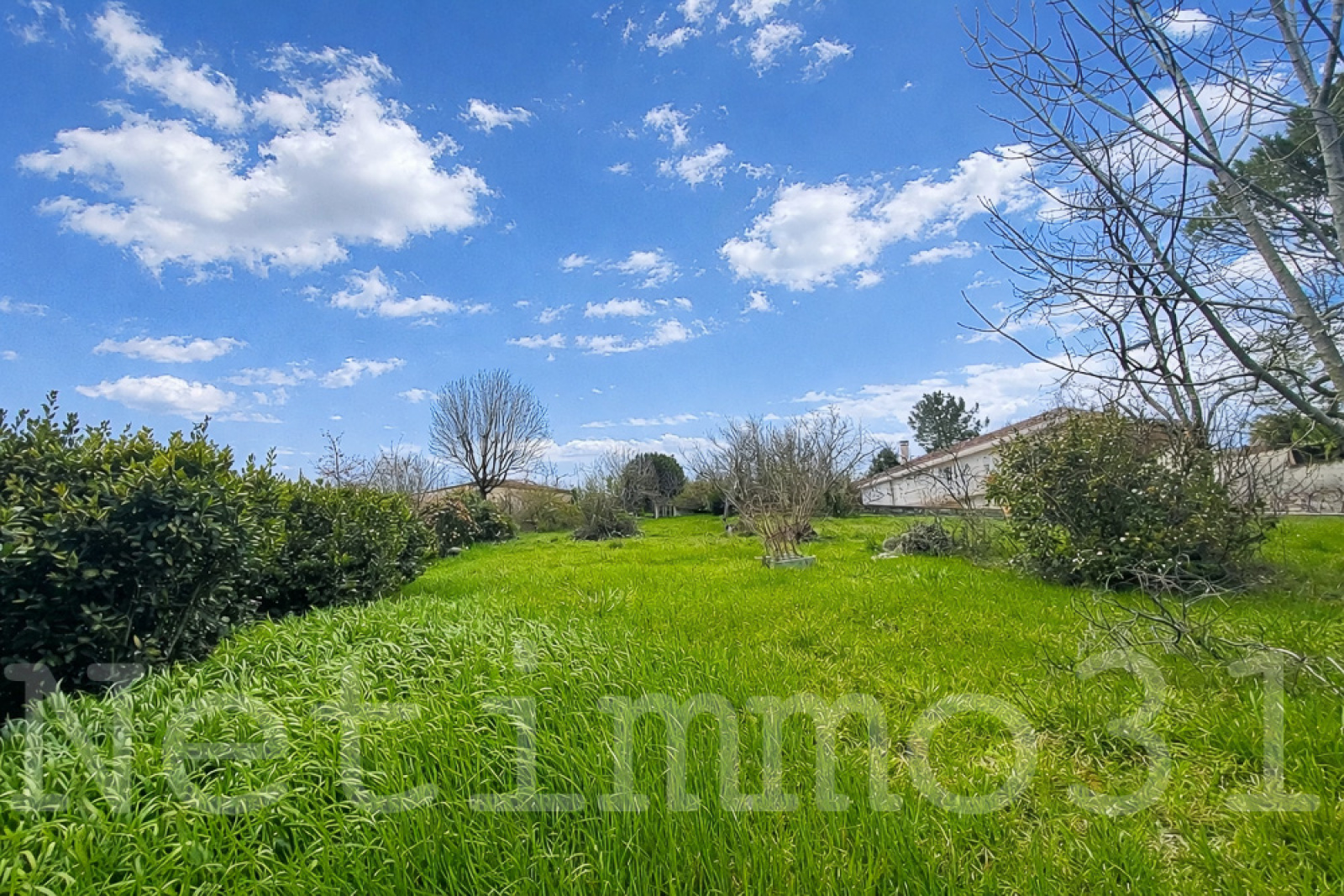 Image_1, Terrain, Puylaurens, ref :3736 AL