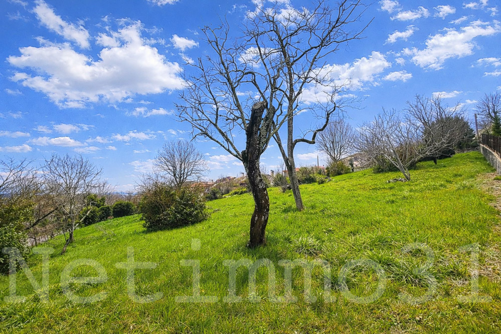 Image_2, Terrain, Puylaurens, ref :3736 AL