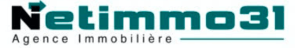 Logo réseau mandataire Net Immo 31